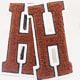 6" tall H chenille patches on white fabric and black embroidery border